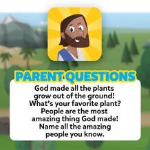 Parent Questions
