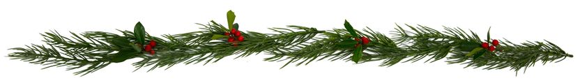Photo 3 - Holly Garland
