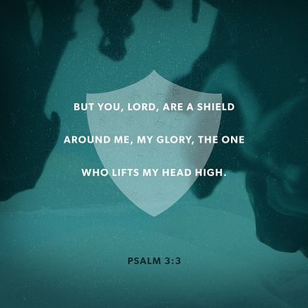 Psalm 3:3