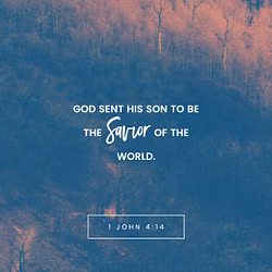 1 John 4:14