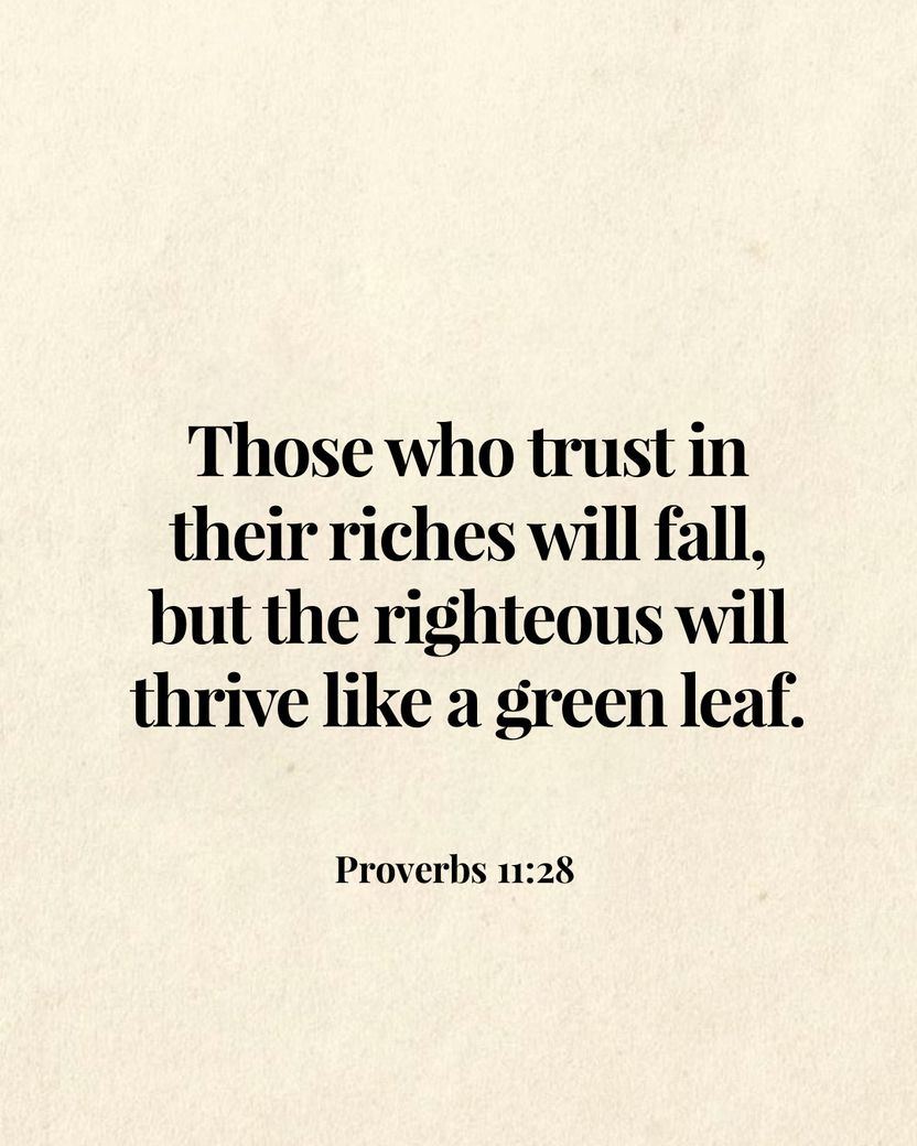 Image 05