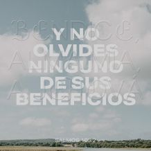 10 de enero - Plaza