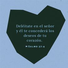 26 de febrero - Plaza
