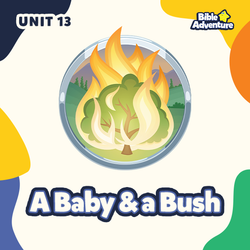 A Baby and a Bush - 2 Year Cycle