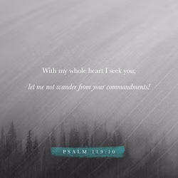 Psalm 119:10