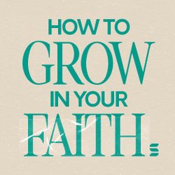 How To Grow in Your Faith - Switch