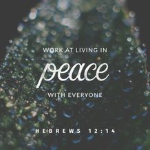 Hebrews 12:14