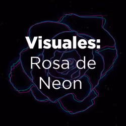 Visuales: Rosa de Neon