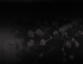 Black Background 1 - 3375x2625