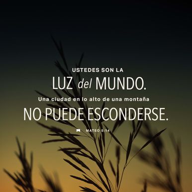 27 de enero - Plaza