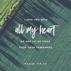 Psalm 119:10