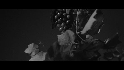 Still 18