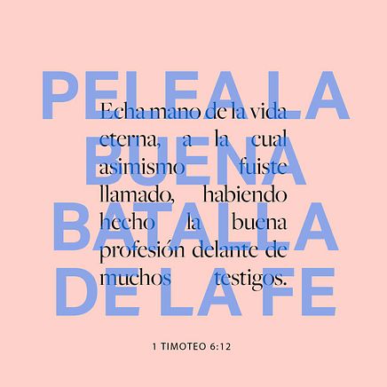 12 de enero - Plaza