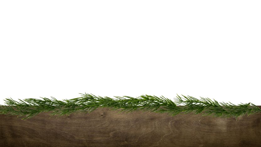 Photo 4 - Scripture Background