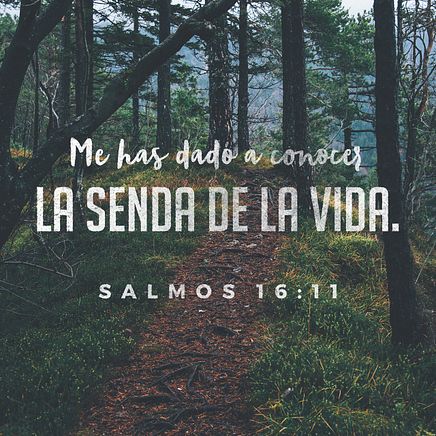 Psalm 16:11