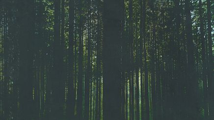 Artwork Trees 1