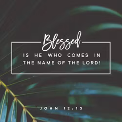 John 12:13
