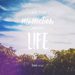 John 11:25