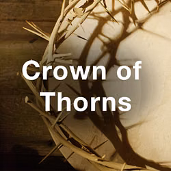 Stock Videography: Crown of Thorns