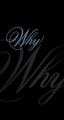 Banner 3