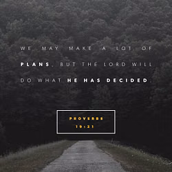 Proverbs 19:21