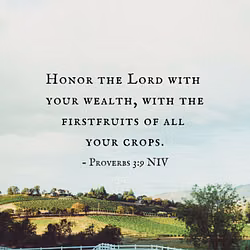 Proverbs 3:9 NIV