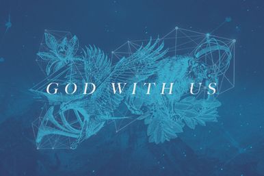 Web Banner