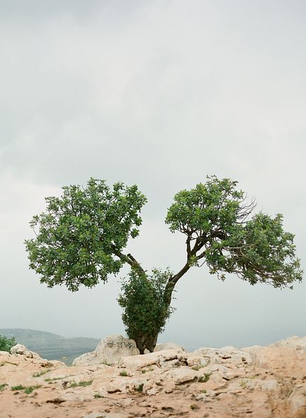 Israel 08