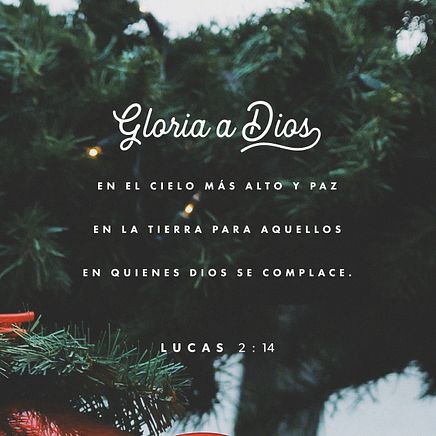 24 de diciembre - Plaza