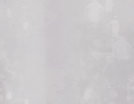 White Background 3 - 3375x2625