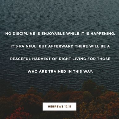 Hebrews 12:11