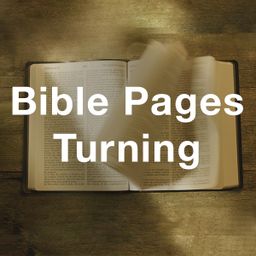 Stock Videography: Bible Pages Turning 