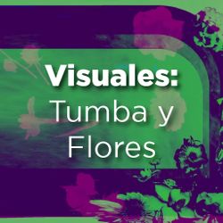 Visuales: Tumba y Flores