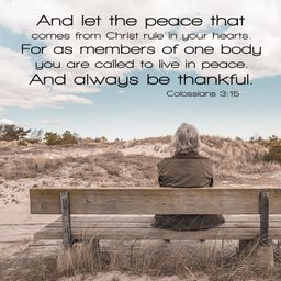 Colossians 3:15