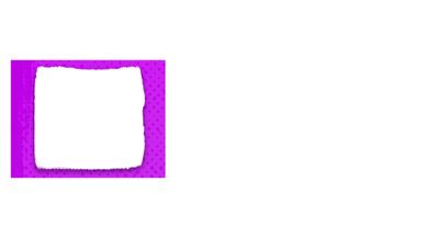 Purple Pictures 1920x1080