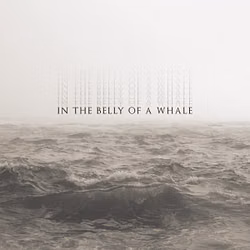 In the Belly of a Whale 