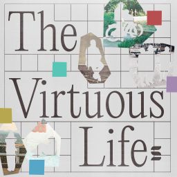 The Virtuous Life - Switch