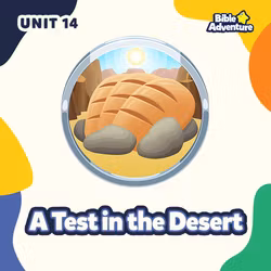 A Test In The Desert - Unit 14