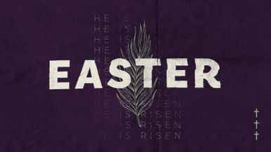 Facebook Cover