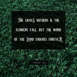 1 Peter 1:24
