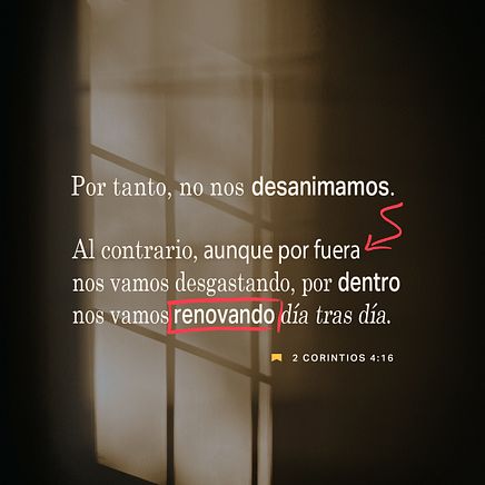 02 de enero - Plaza