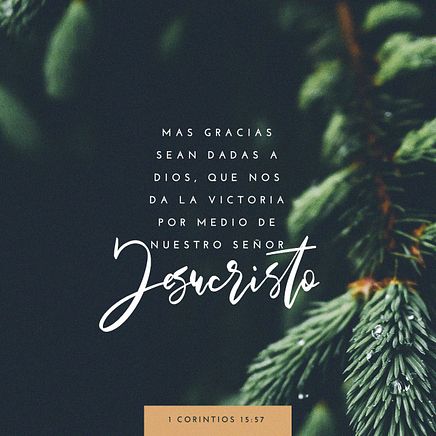 02 de diciembre - Plaza 1