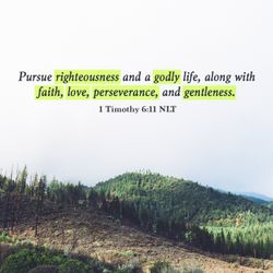 1 Timothy 6:11 NLT