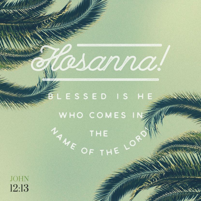 John 12:13