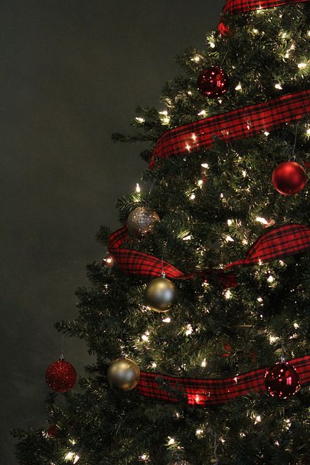 Christmas Tree 8