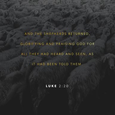 Luke 2:20