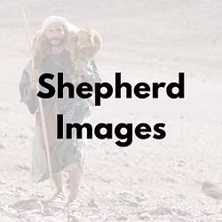 Shepherd Images 