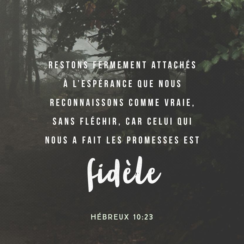 Hebrews 10:23