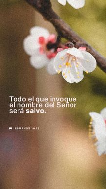 07 de mayo - Vertical