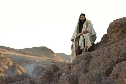 Image 17